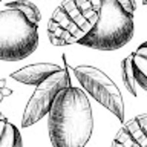 Meet your Posher, Miranda